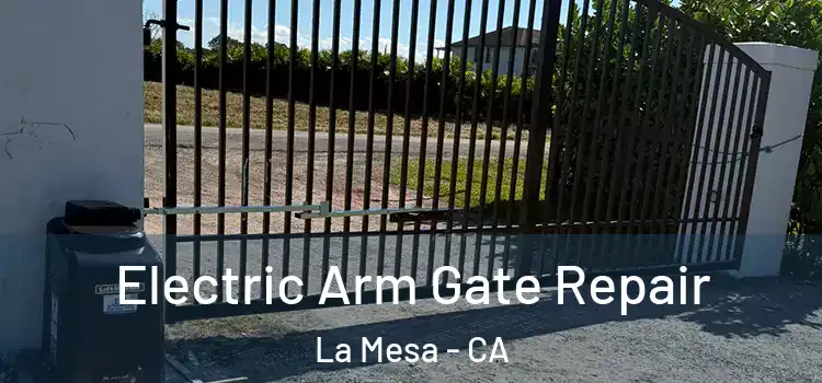 Electric Arm Gate Repair La Mesa - CA
