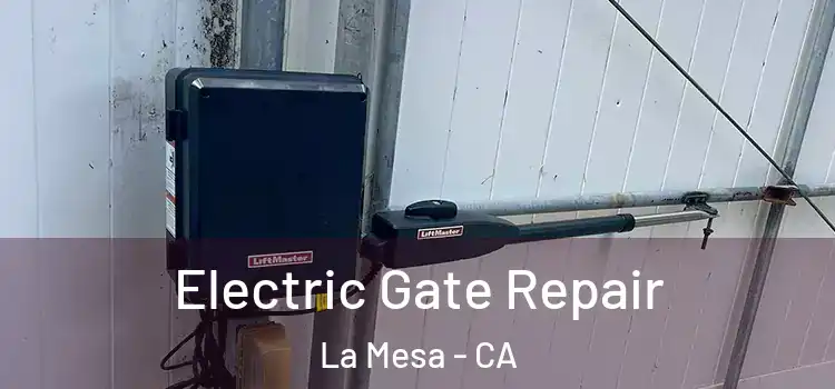 Electric Gate Repair La Mesa - CA