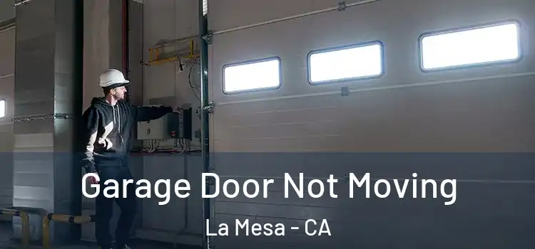  Garage Door Not Moving La Mesa - CA