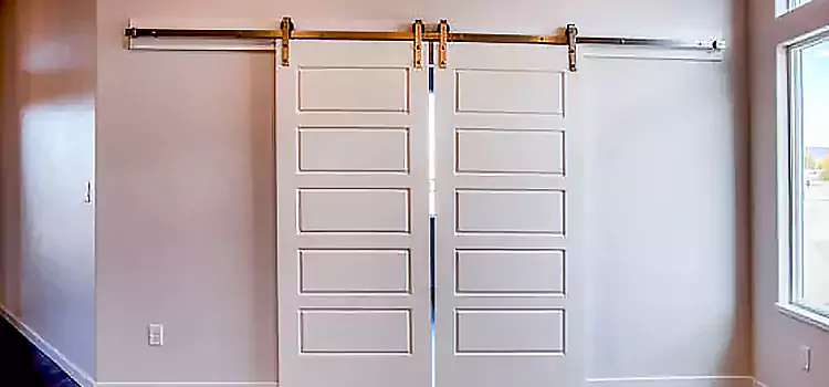 Glass Barn Door with Installation Hardware Kit La Mesa